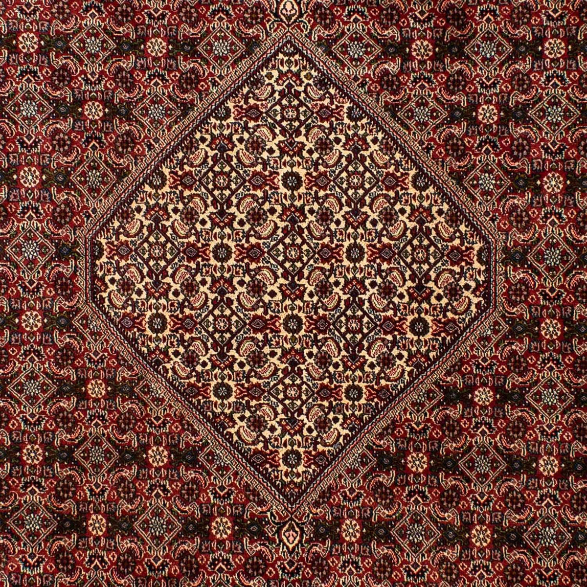 Persisk tæppe - Bijar - 309 x 197 cm - brun