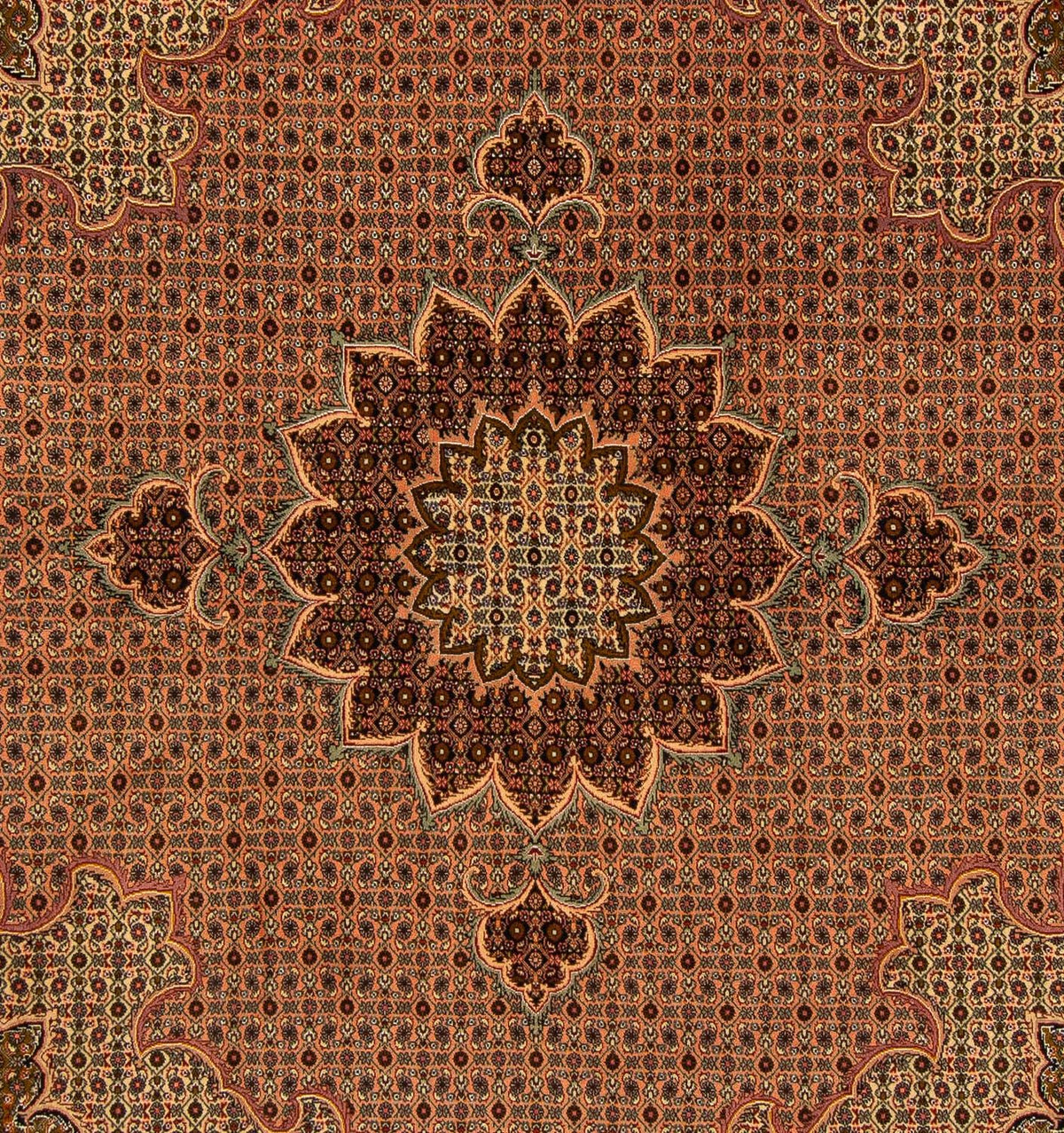 Persisk tæppe - Tabriz firkantet  - 206 x 206 cm - brun