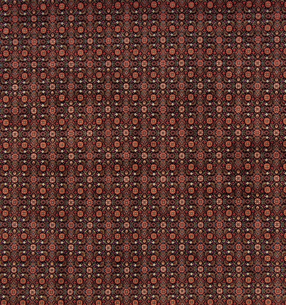 Persisk tæppe - Tabriz firkantet - 200 x 195 cm - mørkeblå