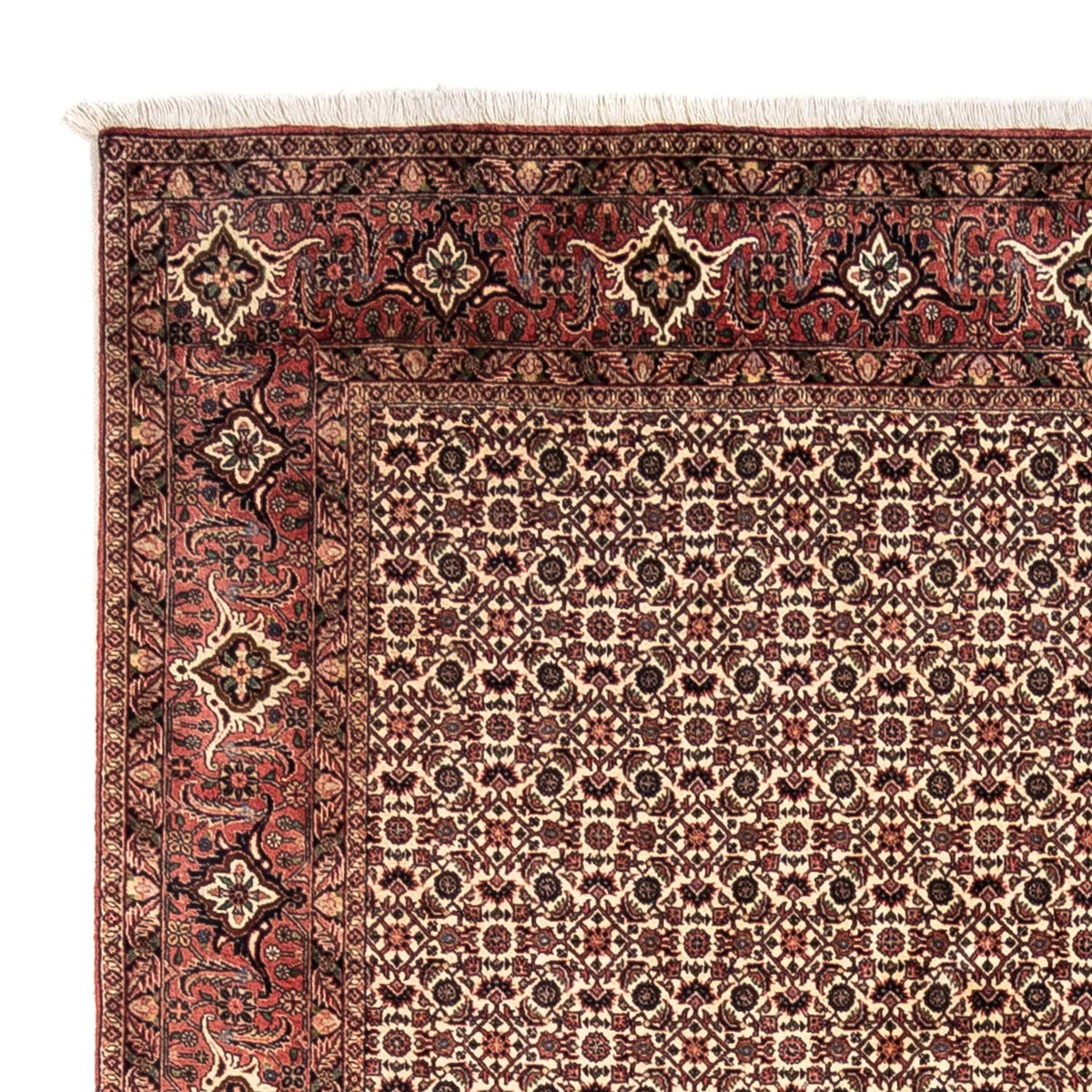 Persisk tæppe - Bijar - Royal - 302 x 208 cm - beige