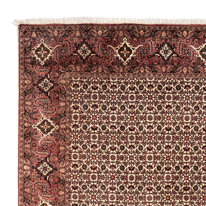 Persisk tæppe - Bijar - Royal - 302 x 208 cm - beige