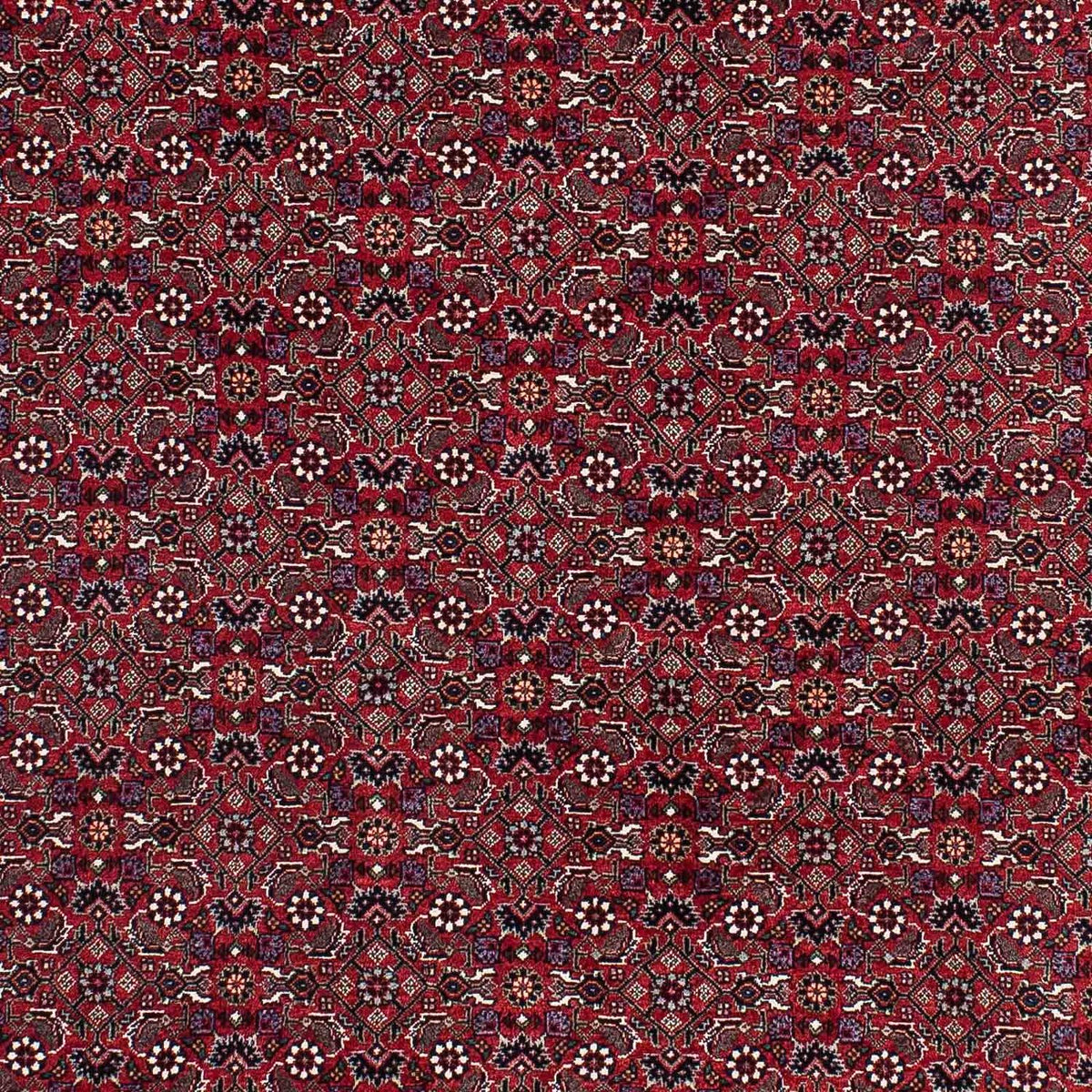 Persisk tæppe - Bijar - 221 x 143 cm - rød