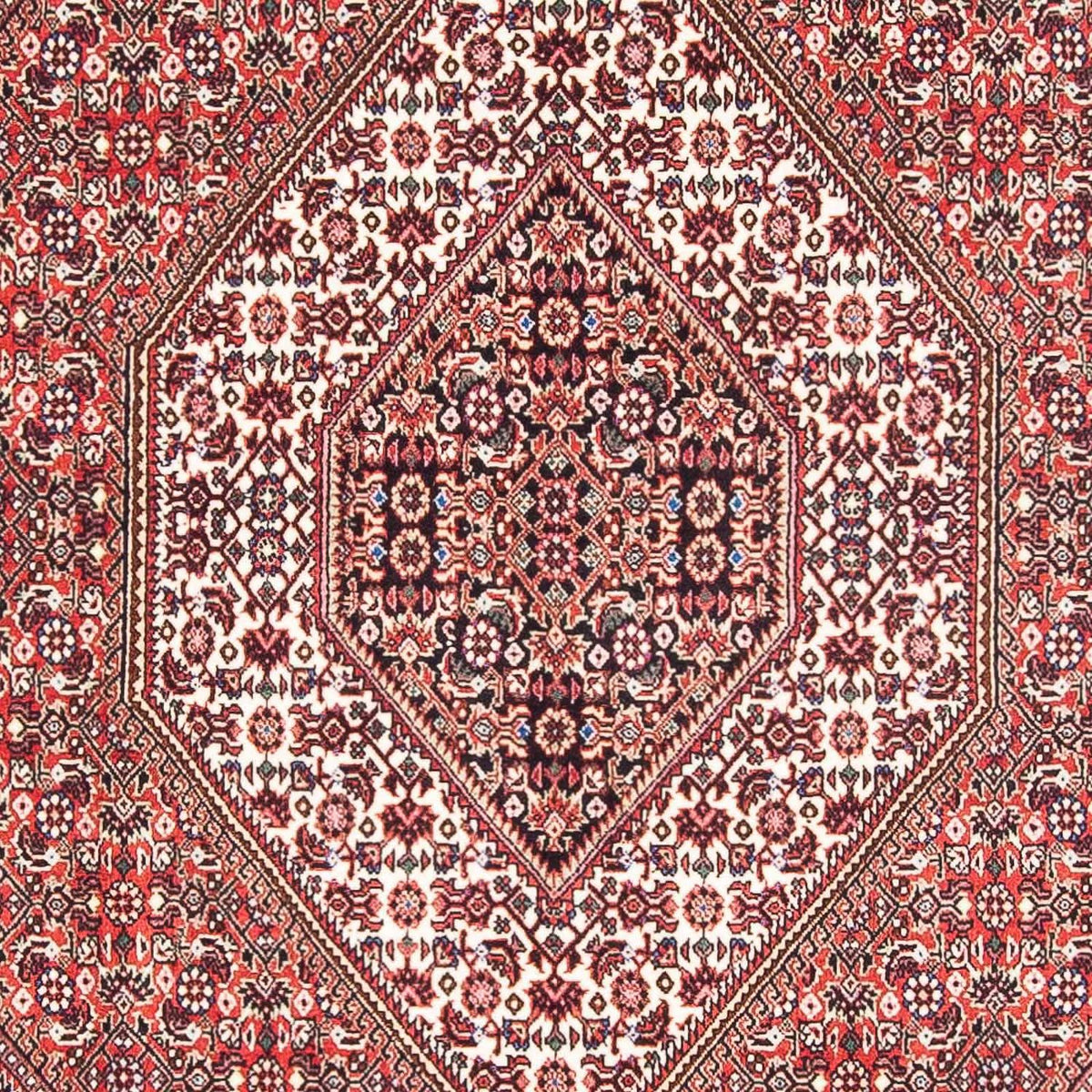 Persisk tæppe - Bijar - 182 x 111 cm - rød