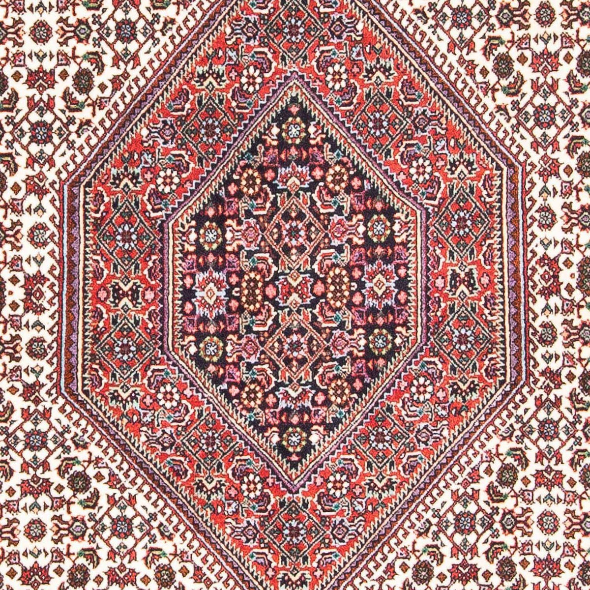 Persisk tæppe - Bijar - 173 x 105 cm - beige