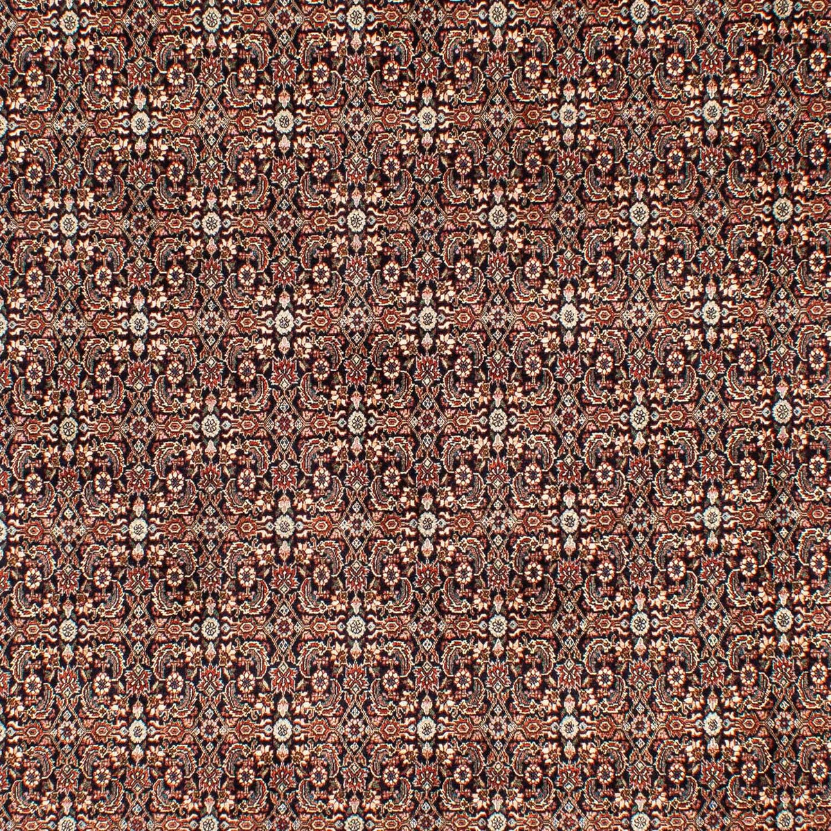 Persisk tæppe - Bijar - 300 x 204 cm - flerfarvet