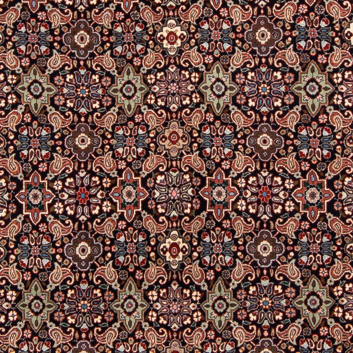 Persisk tæppe - Bijar - 248 x 168 cm - lys brun