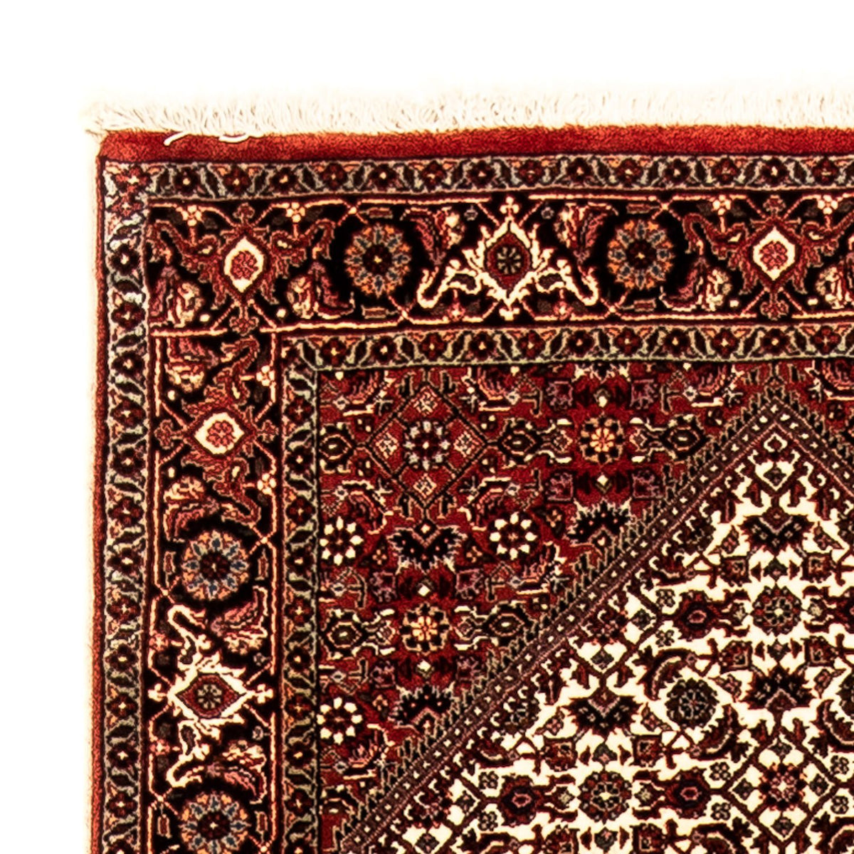 Løber Persisk tæppe - Bijar - 284 x 80 cm - flerfarvet