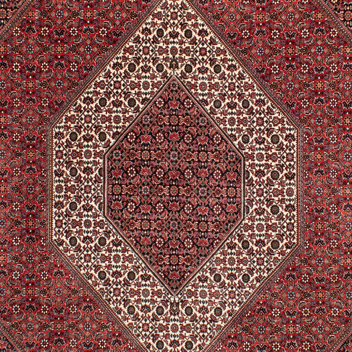 Persisk tæppe - Bijar - 305 x 203 cm - mørkerød