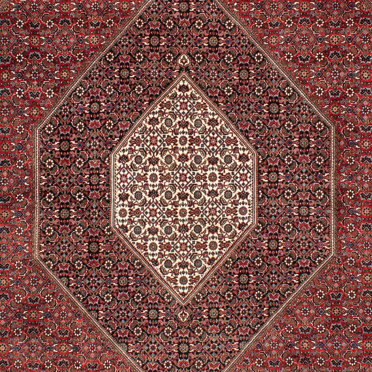 Persisk tæppe - Bijar - 309 x 208 cm - mørkerød