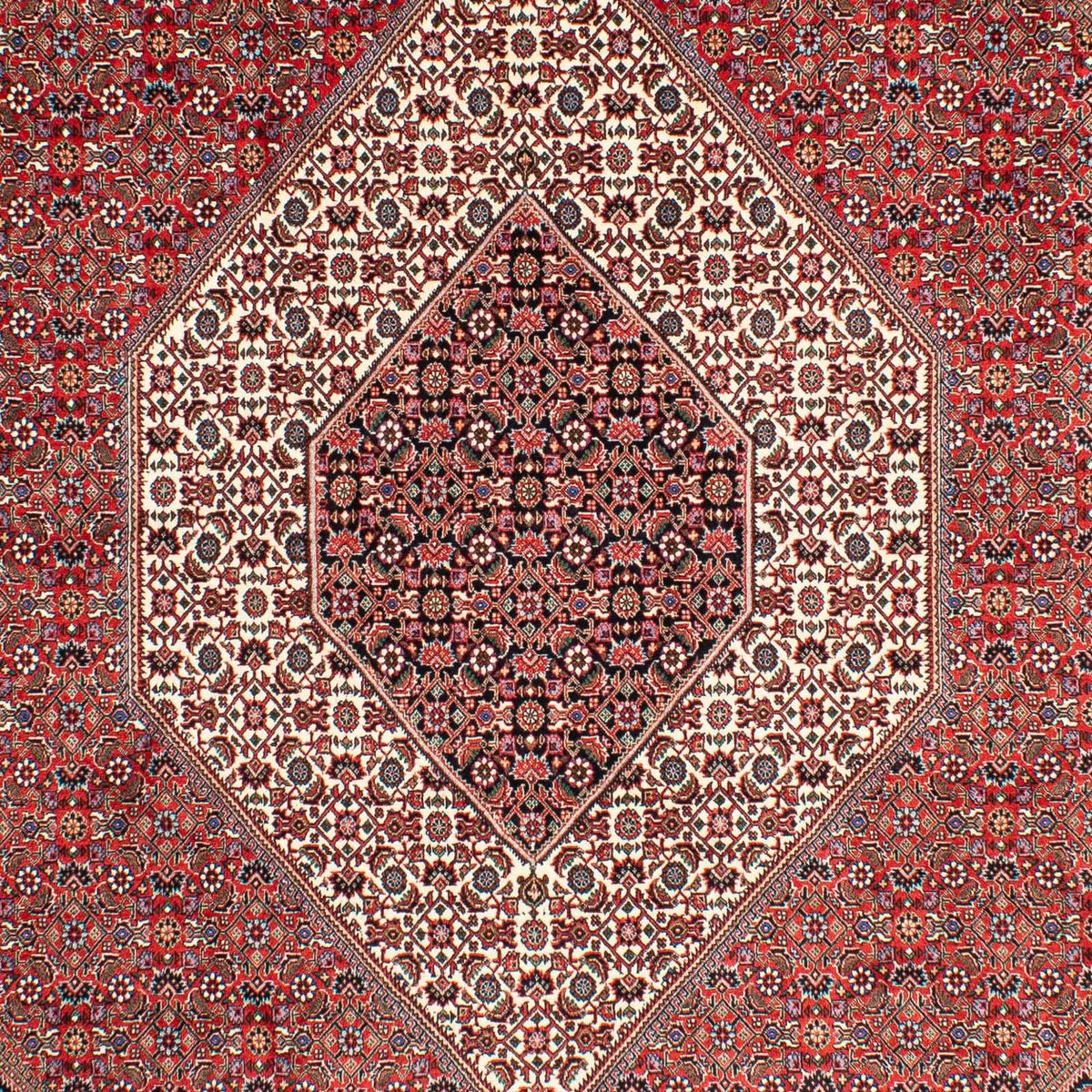 Persisk tæppe - Bijar - 300 x 203 cm - lysrød