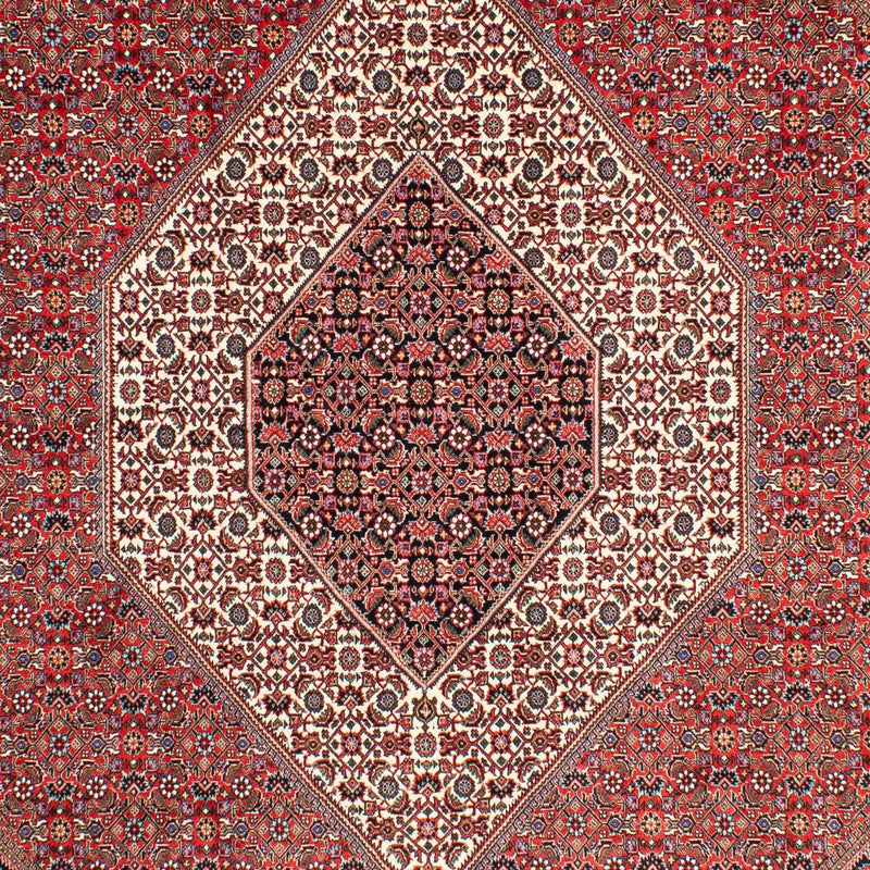 Persisk tæppe - Bijar - 300 x 203 cm - lysrød