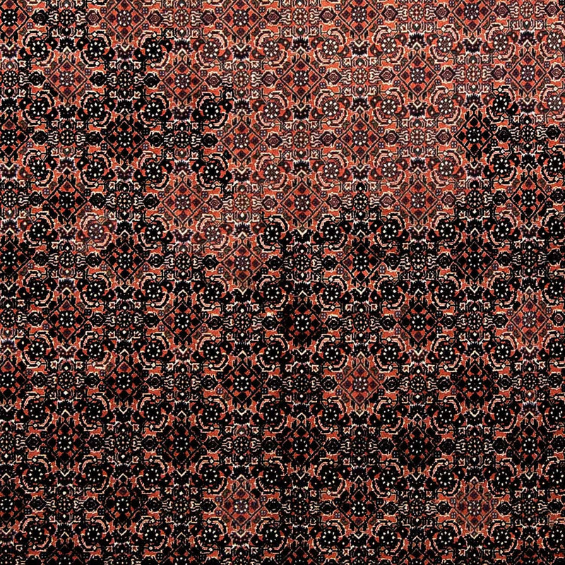 Persisk tæppe - Bijar - 250 x 173 cm - lysrød
