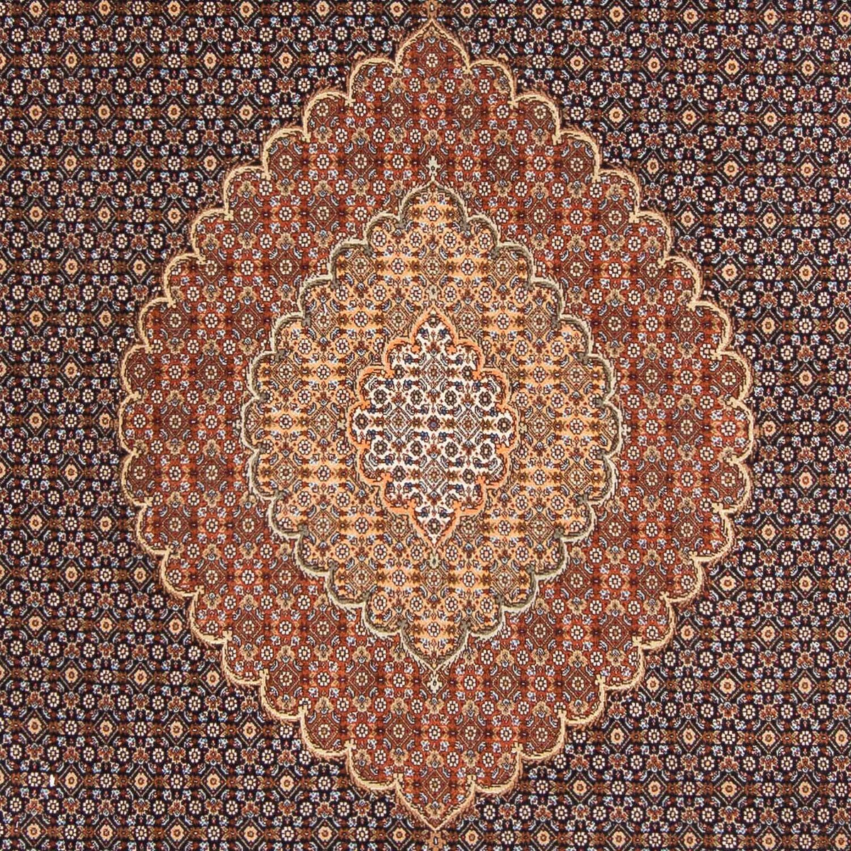Persisk tæppe - Tabriz - 297 x 205 cm - mørkeblå