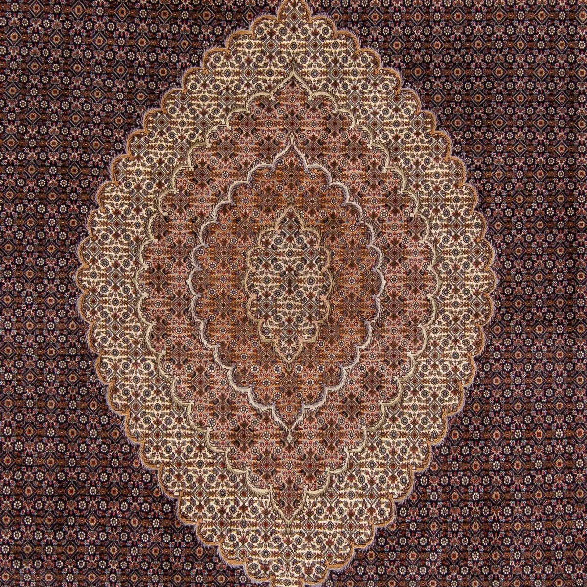 Persisk tæppe - Tabriz - 338 x 248 cm - lys brun