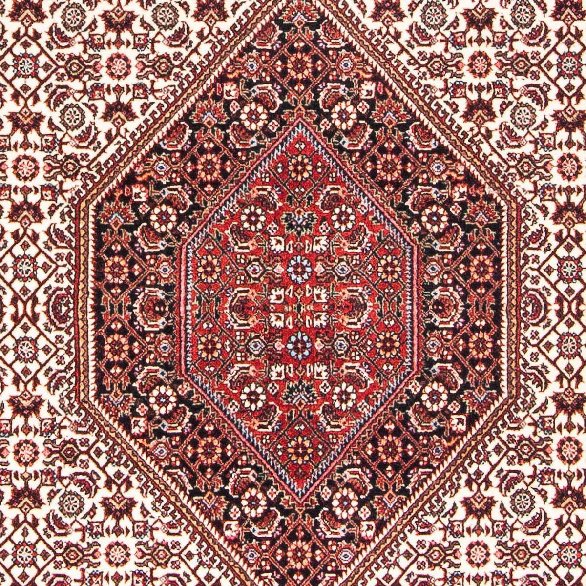 Persisk tæppe - Bijar - 170 x 112 cm - beige