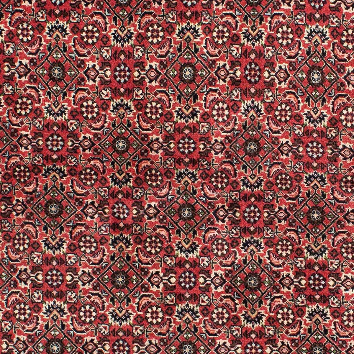 Persisk tæppe - Bijar - 208 x 139 cm - rød