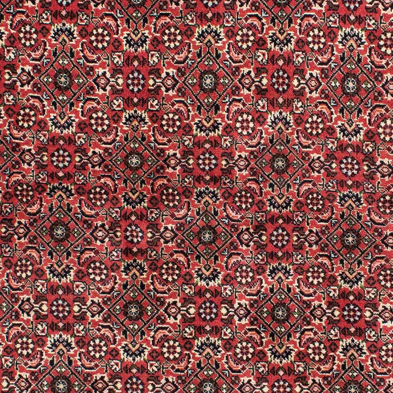Persisk tæppe - Bijar - 208 x 139 cm - rød