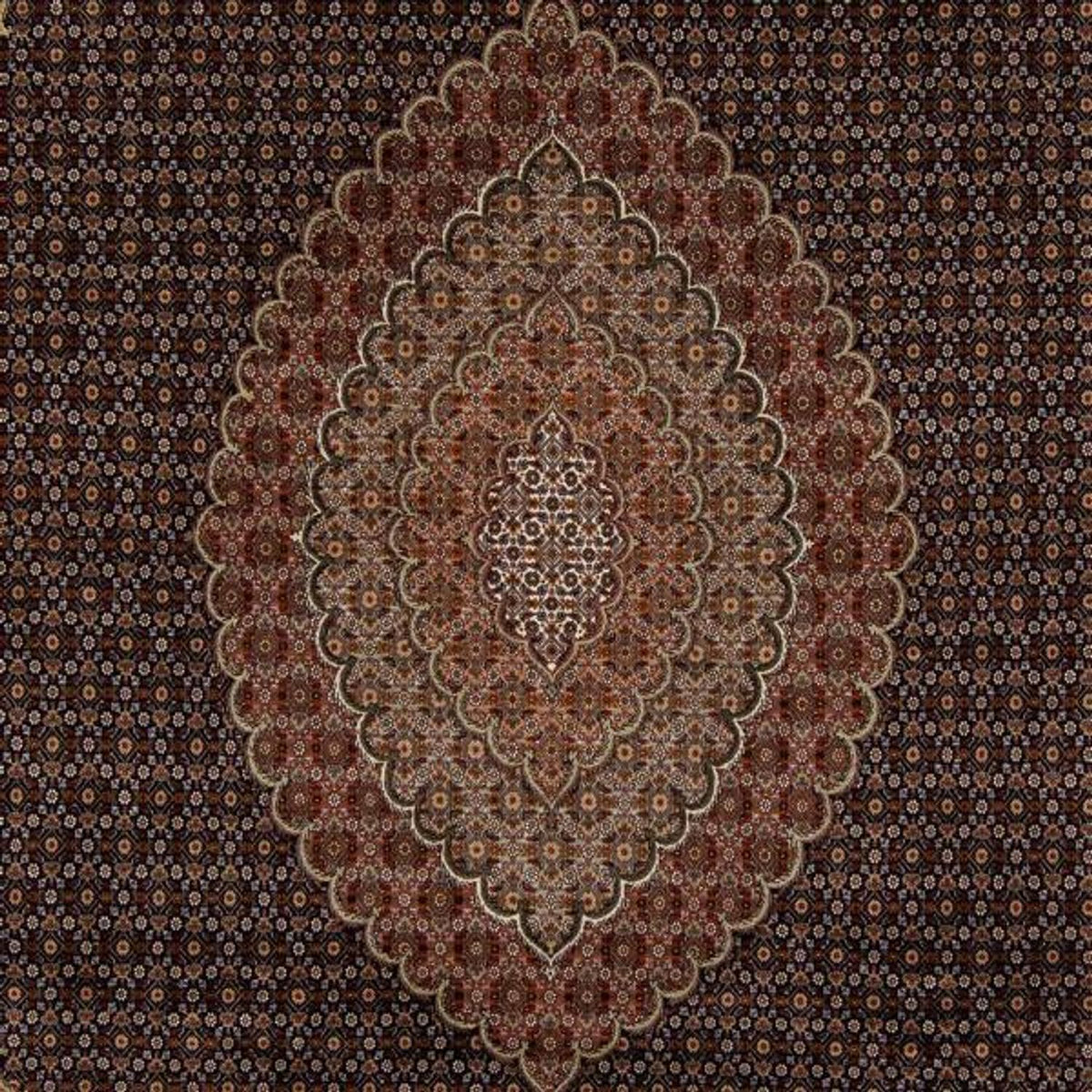 Persisk tæppe - Tabriz - 346 x 252 cm - brun