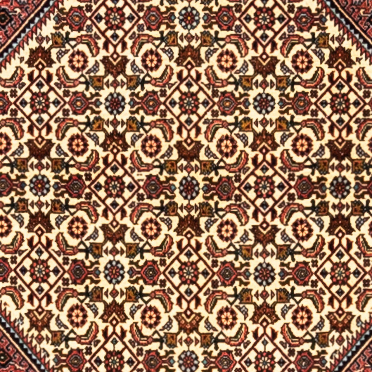 Persisk tæppe - Bijar - Royal - 291 x 200 cm - rød