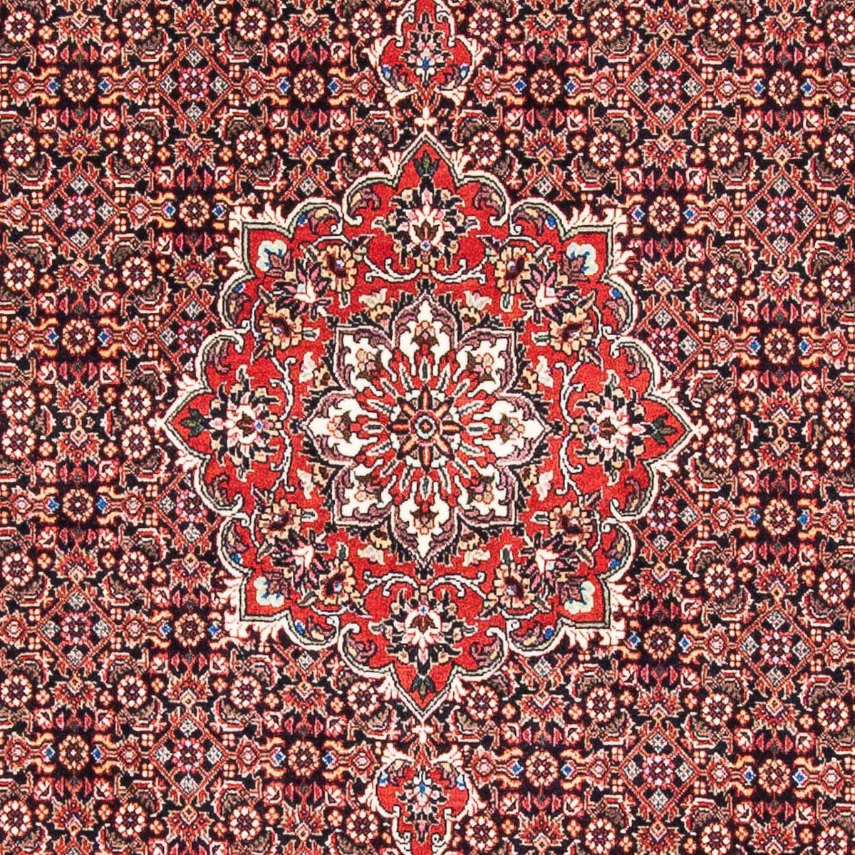 Persisk tæppe - Bijar - 170 x 109 cm - rød