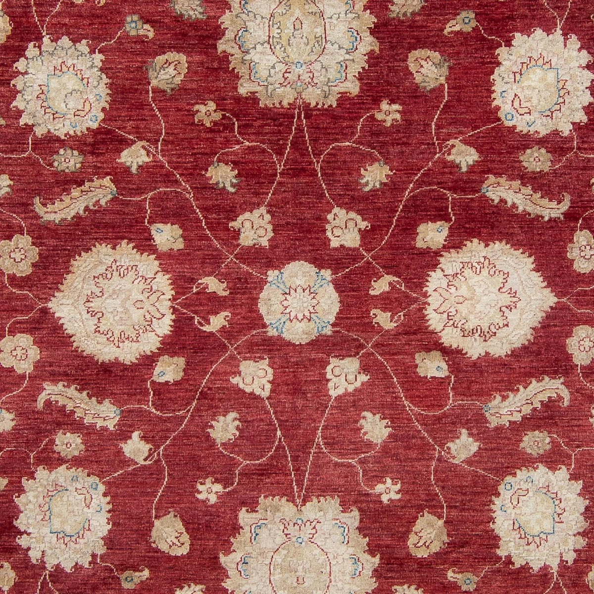 Ziegler Carpet - 300 x 238 cm - rød