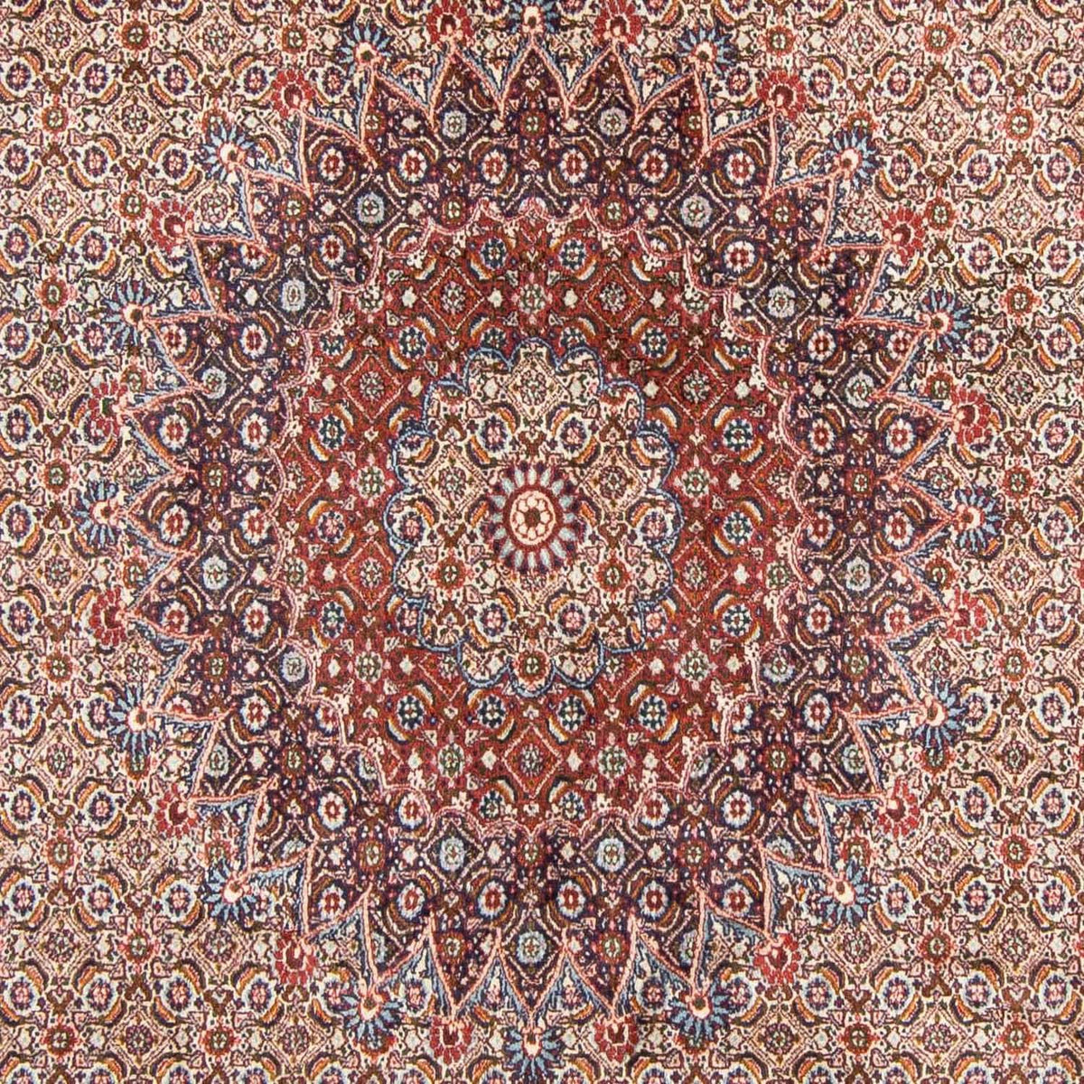 Persisk tæppe - Classic - 300 x 199 cm - lysrød