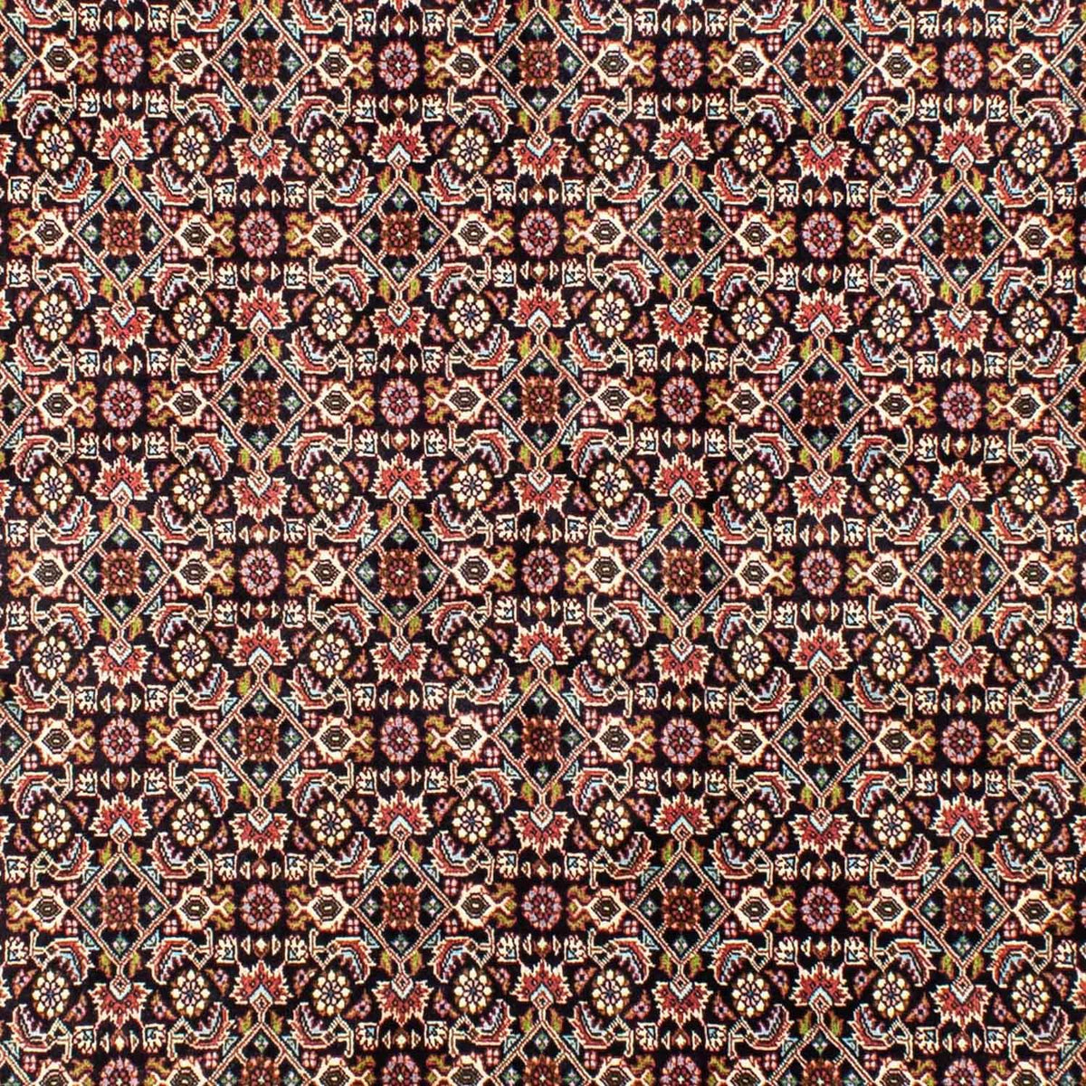Persisk tæppe - Bijar - 248 x 173 cm - mørkeblå