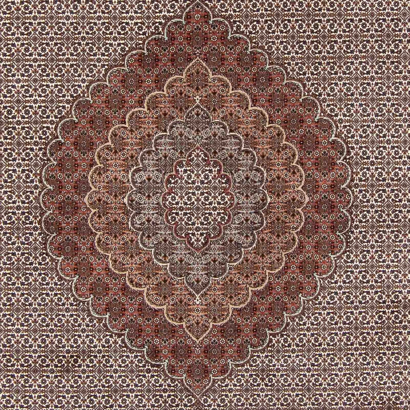 Persisk tæppe - Tabriz - Royal - 348 x 253 cm - lys brun