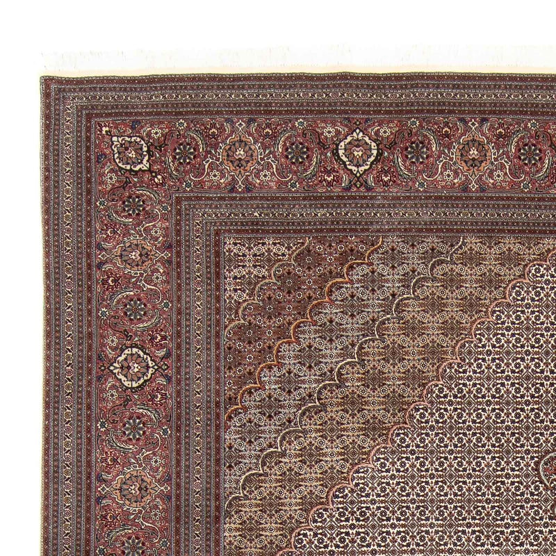 Persisk tæppe - Tabriz - Royal - 348 x 253 cm - lys brun