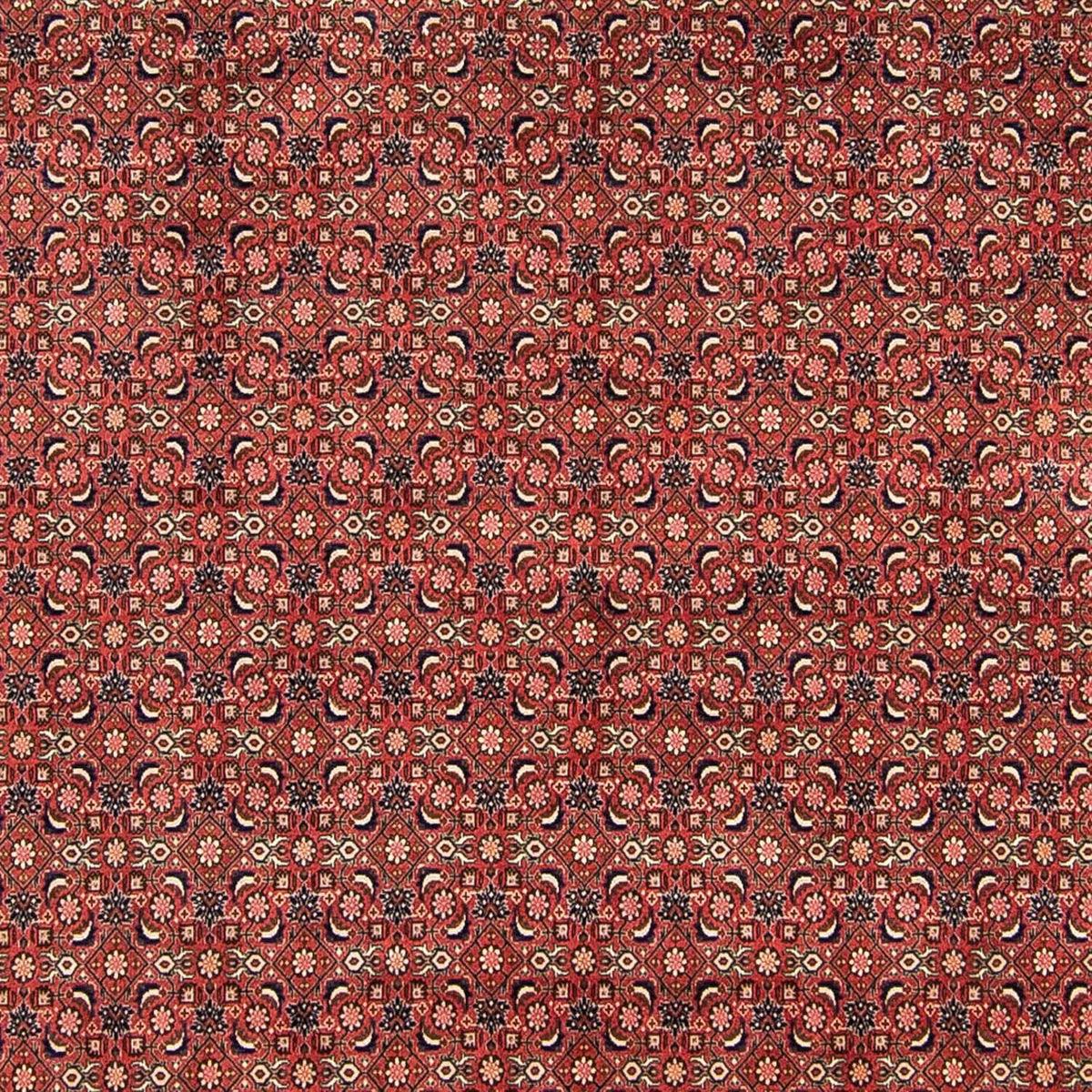 Persisk tæppe - Bijar - 316 x 252 cm - rød
