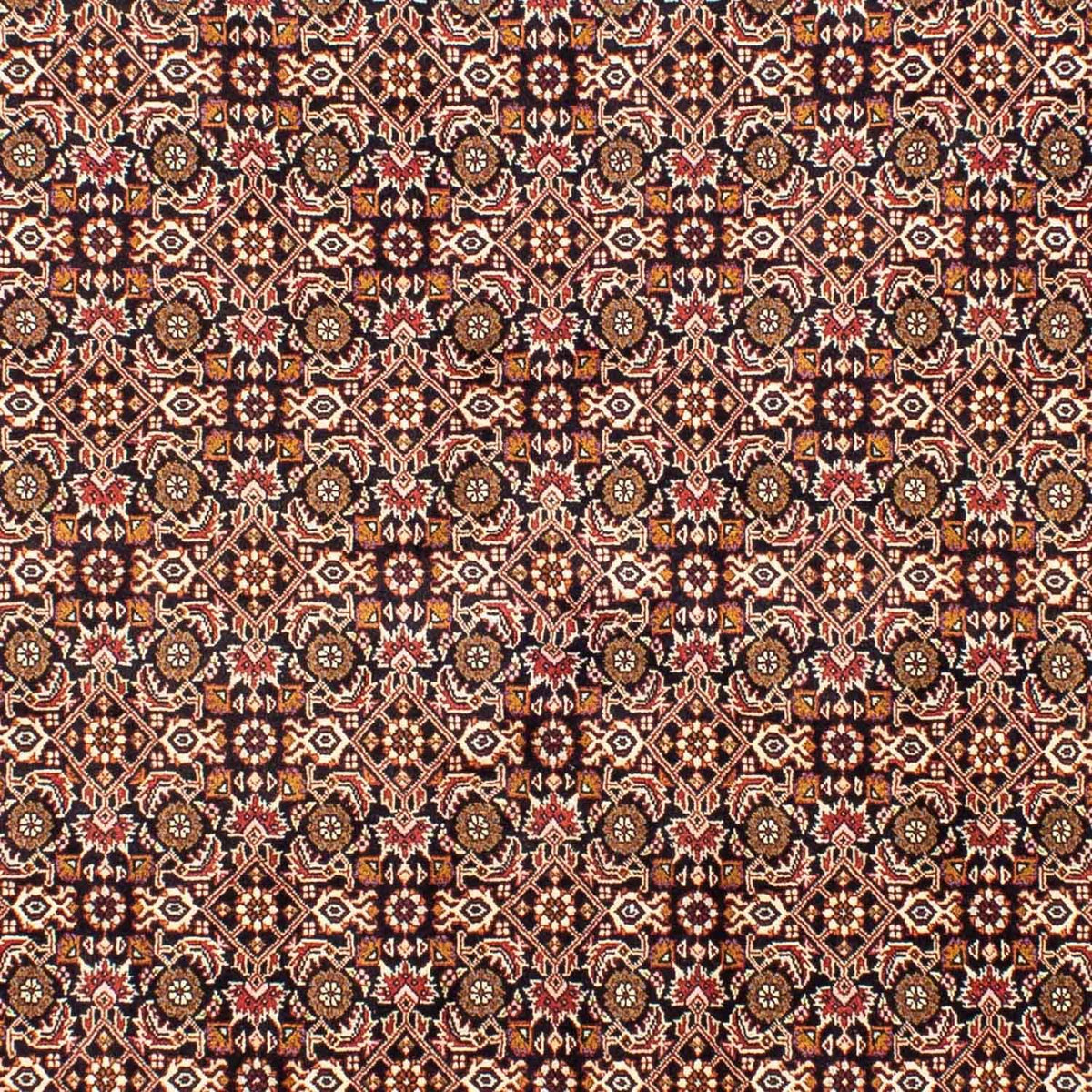Persisk tæppe - Bijar - 243 x 171 cm - mørkeblå