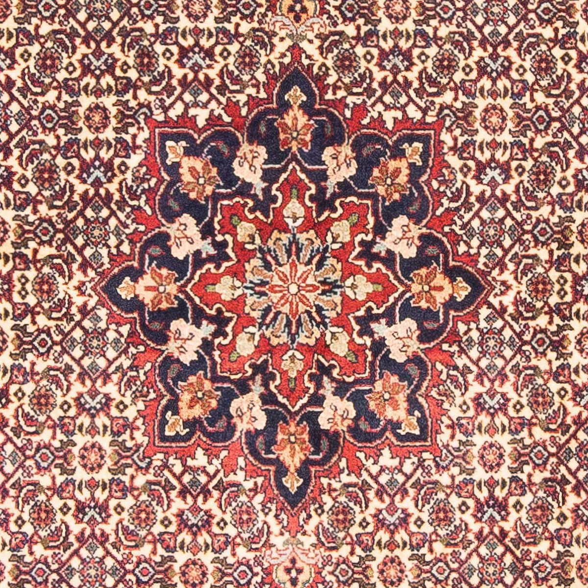 Persisk tæppe - Bijar - 151 x 88 cm - beige