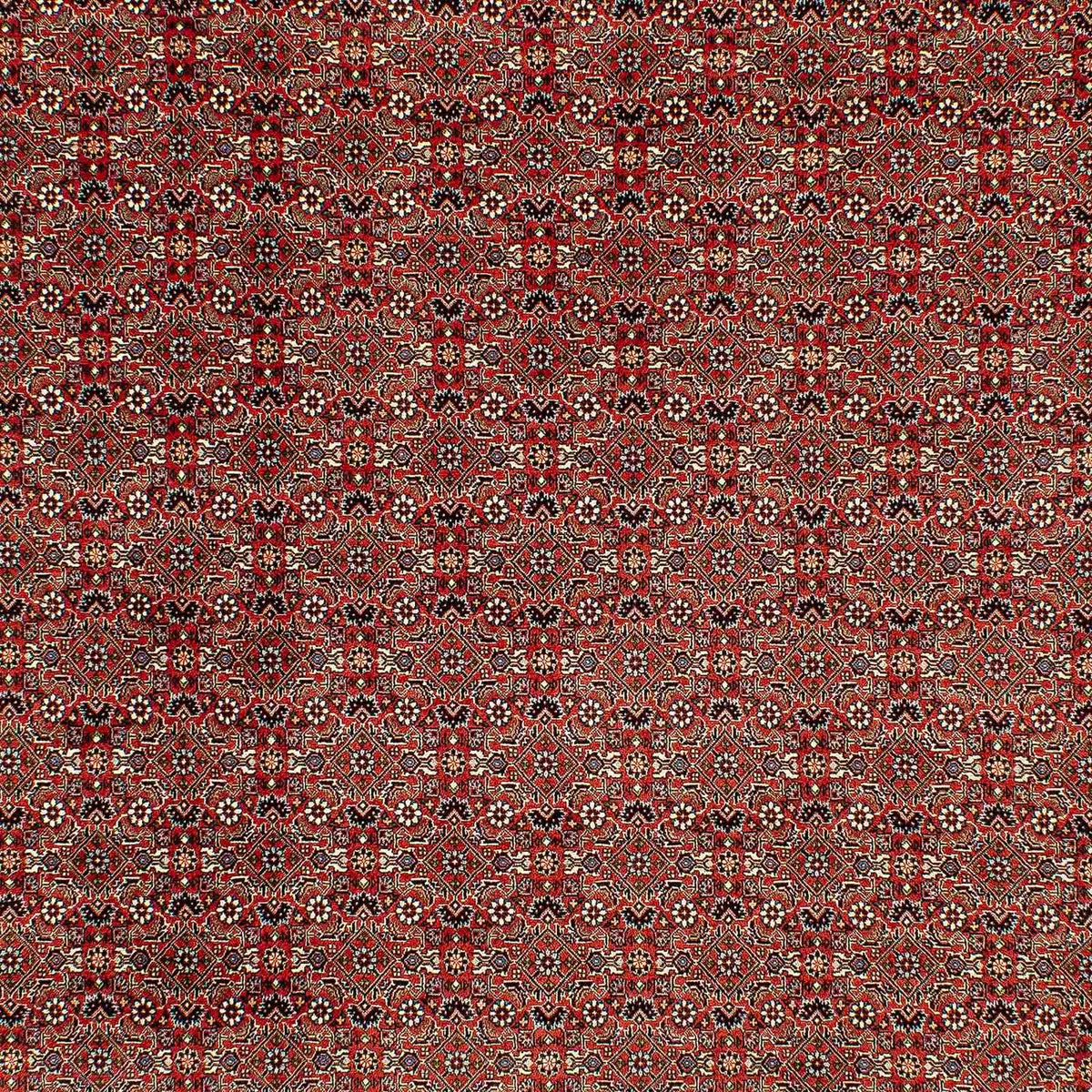 Persisk tæppe - Bijar - 300 x 206 cm - lysrød