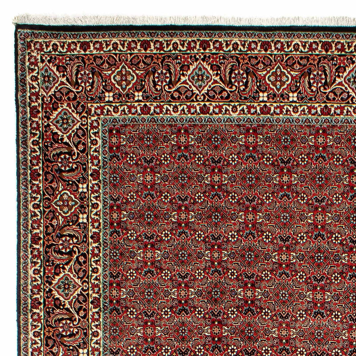 Persisk tæppe - Bijar - 300 x 206 cm - lysrød
