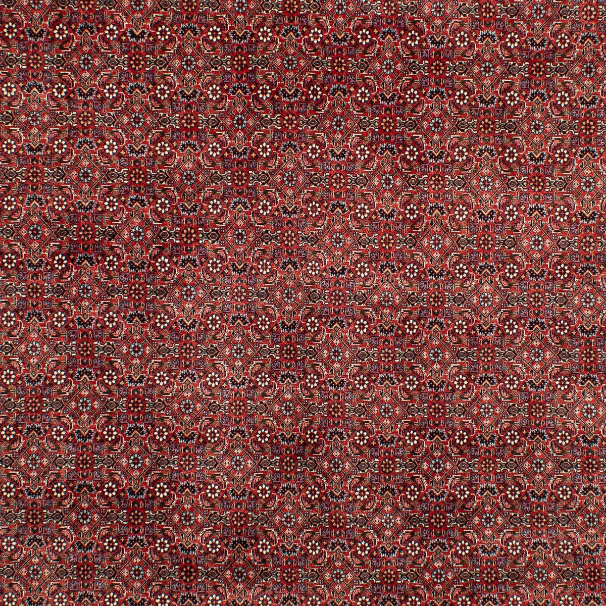 Persisk tæppe - Bijar - 299 x 202 cm - mørkerød
