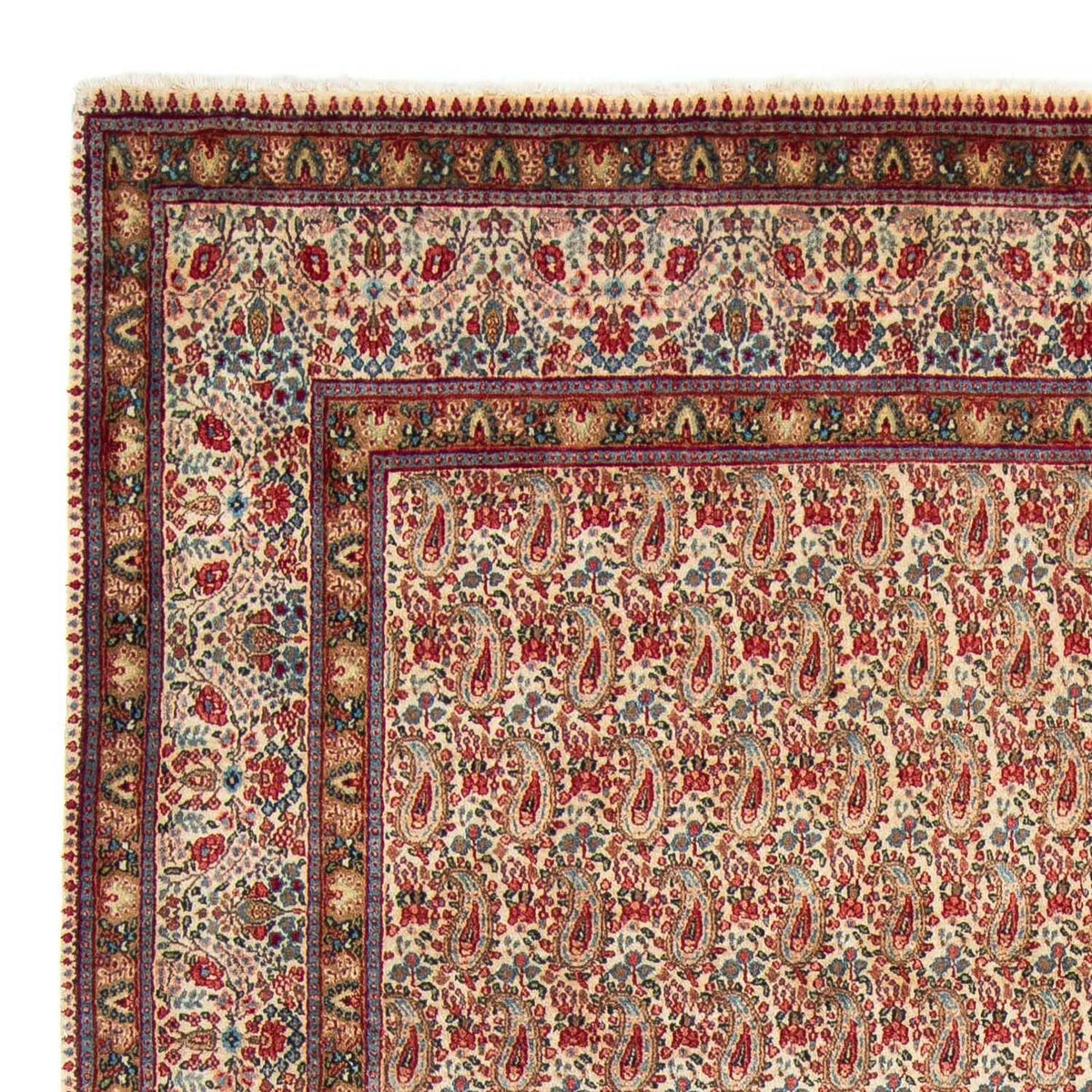 Persisk tæppe - Royal - 307 x 205 cm - beige