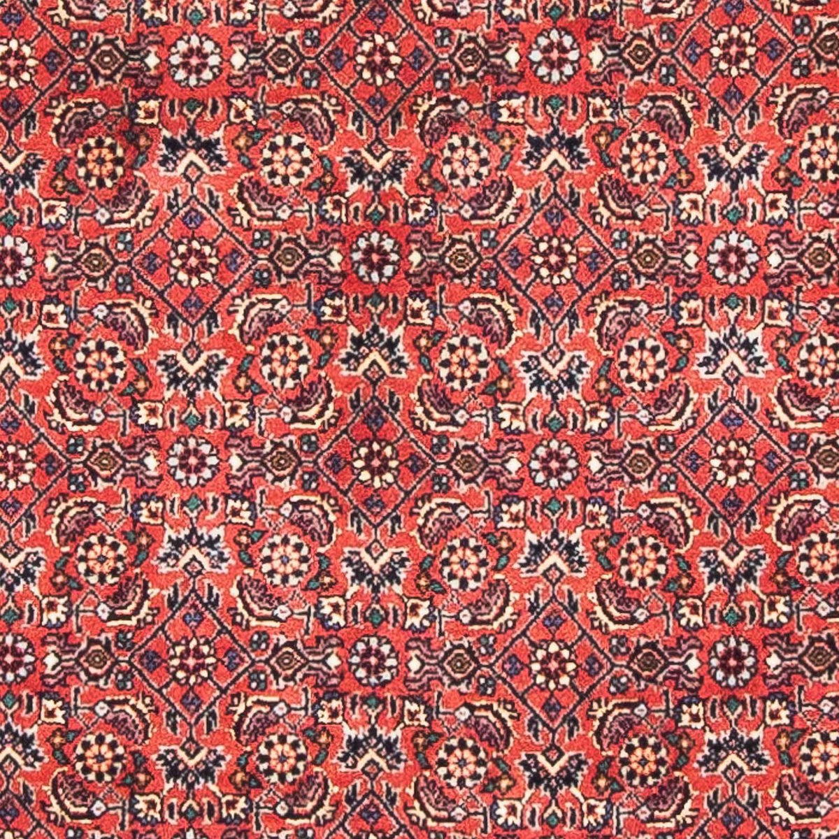 Persisk tæppe - Bijar - 138 x 84 cm - rød