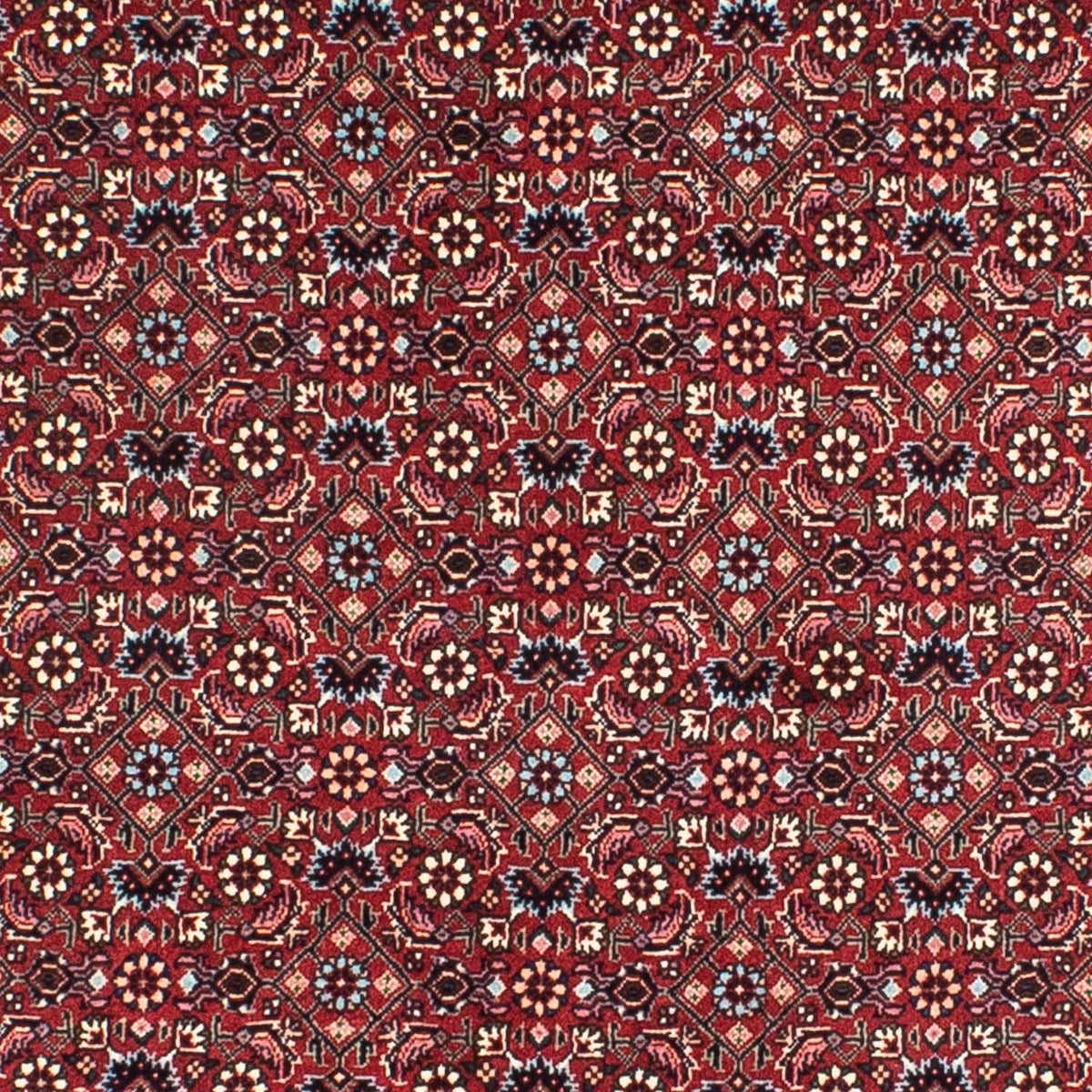Persisk tæppe - Bijar rundt  - 155 x 155 cm - mørkerød