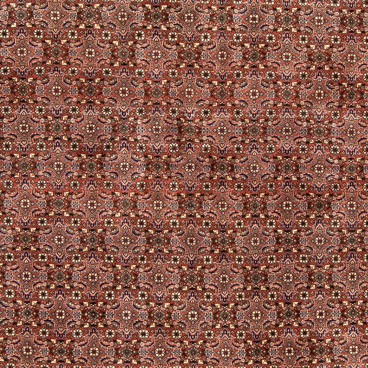 Persisk tæppe - Bijar - 235 x 167 cm - lysrød