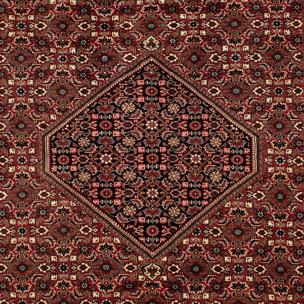 Persisk tæppe - Bijar - 297 x 202 cm - mørkerød