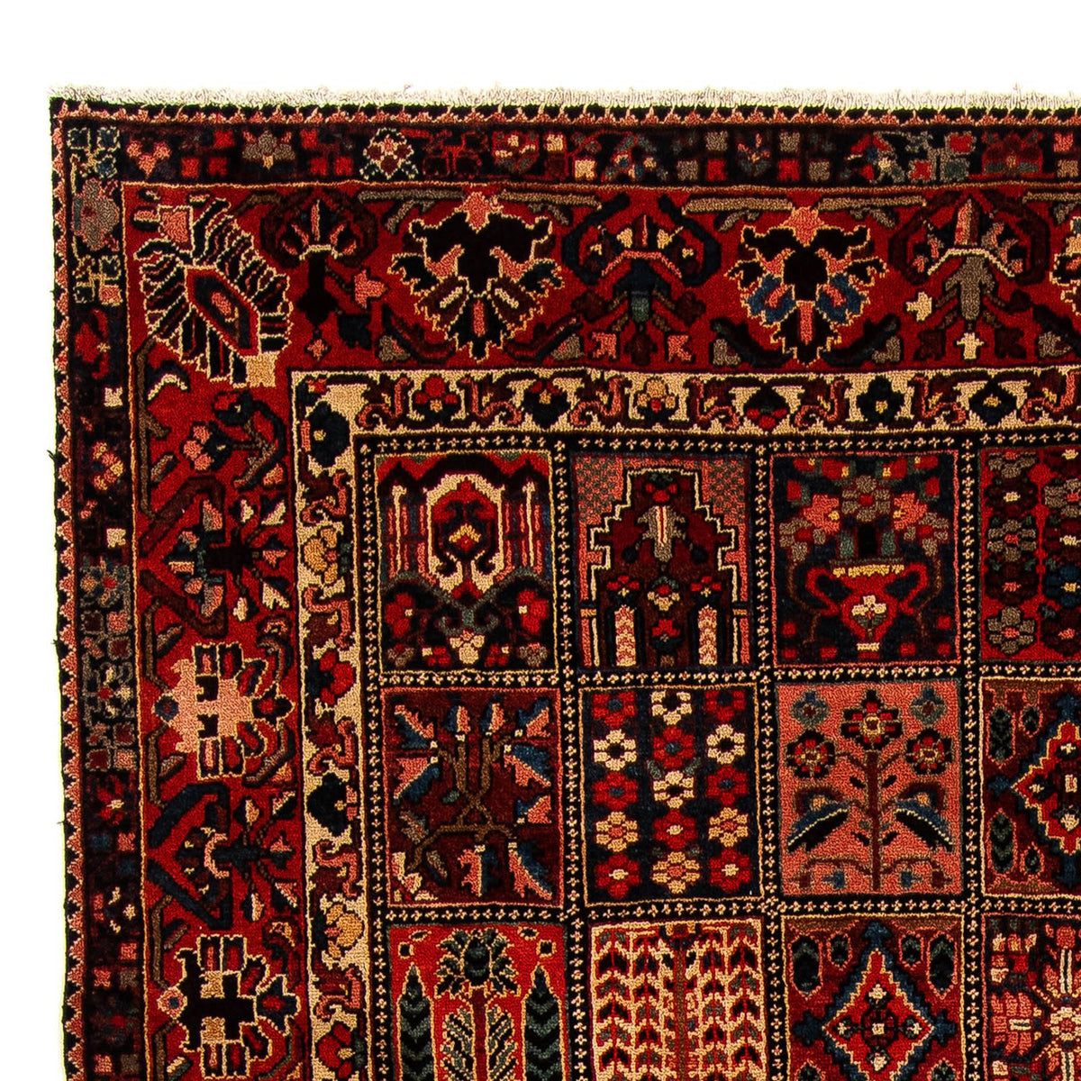 Persisk tæppe - Nomadisk - 351 x 302 cm - mørkerød