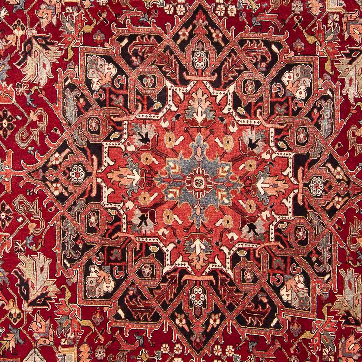 Persisk tæppe - Nomadisk - 334 x 265 cm - mørkerød