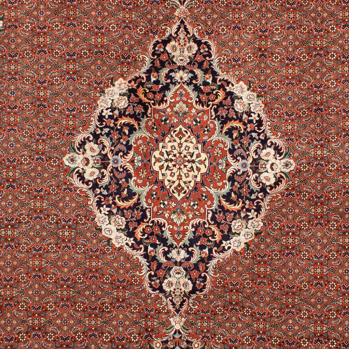 Persisk tæppe - Bijar - 288 x 206 cm - rust