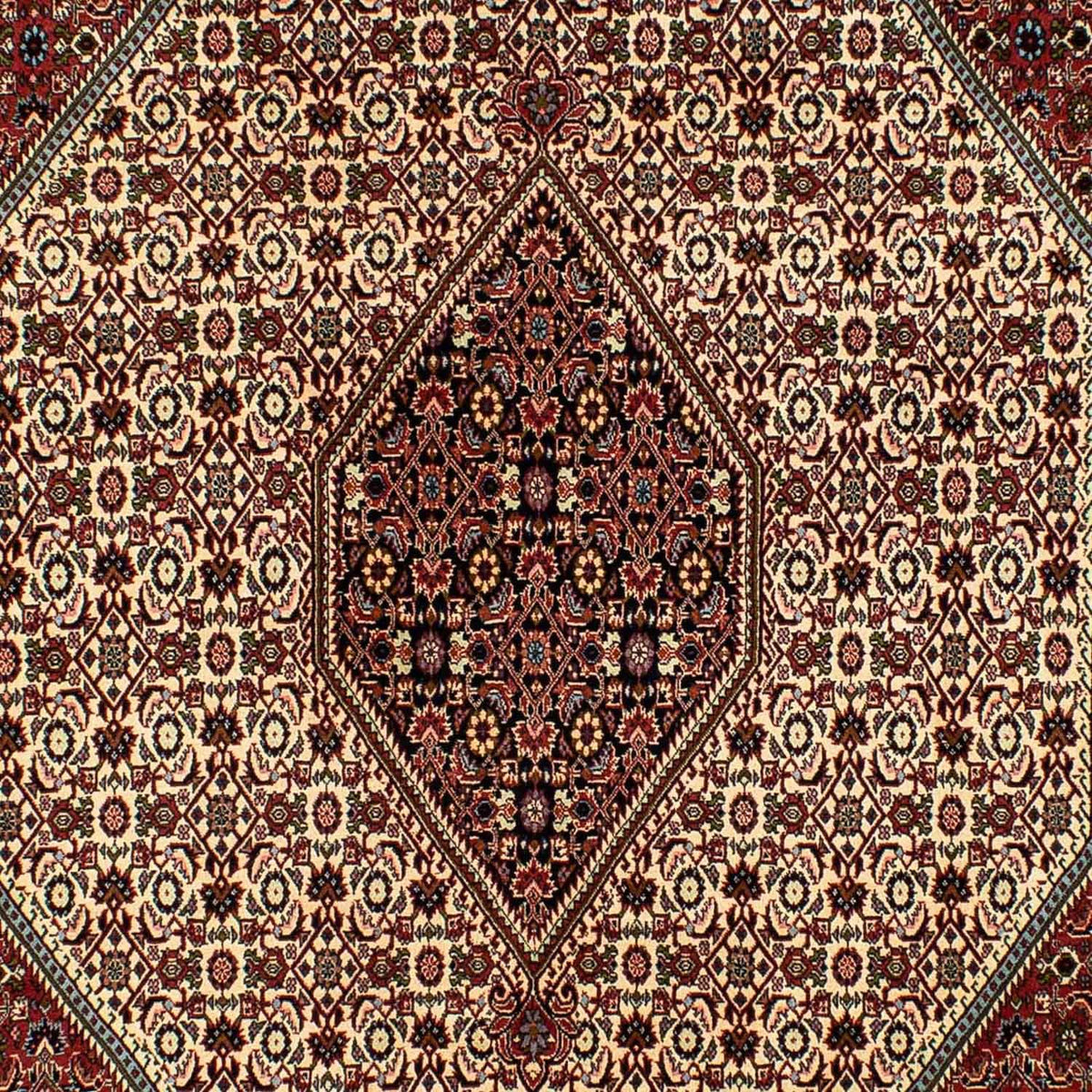 Persisk tæppe - Bijar - 300 x 200 cm - beige