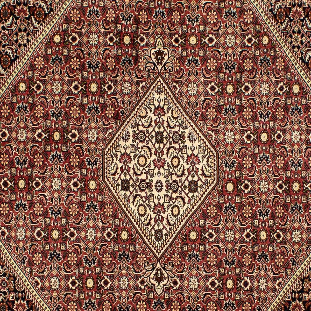 Persisk tæppe - Bijar - 290 x 198 cm - brun