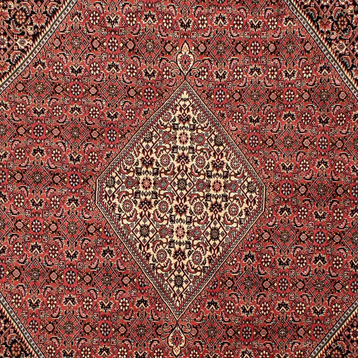 Persisk tæppe - Bijar - 293 x 205 cm - lysrød