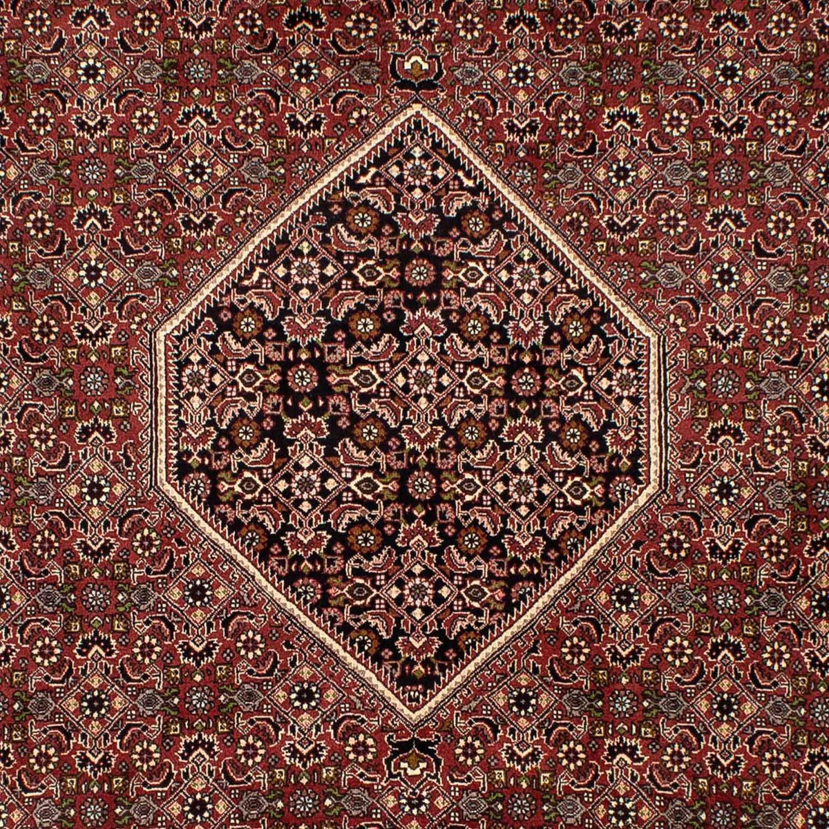 Persisk tæppe - Bijar - 300 x 197 cm - brun