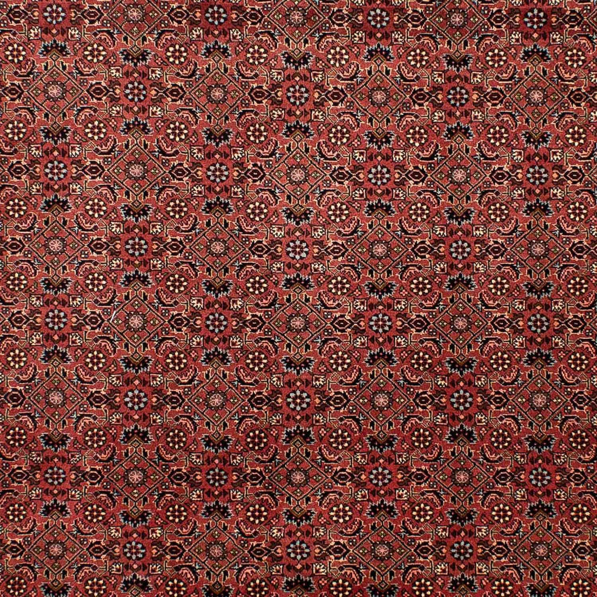 Persisk tæppe - Bijar - 292 x 203 cm - mørkerød