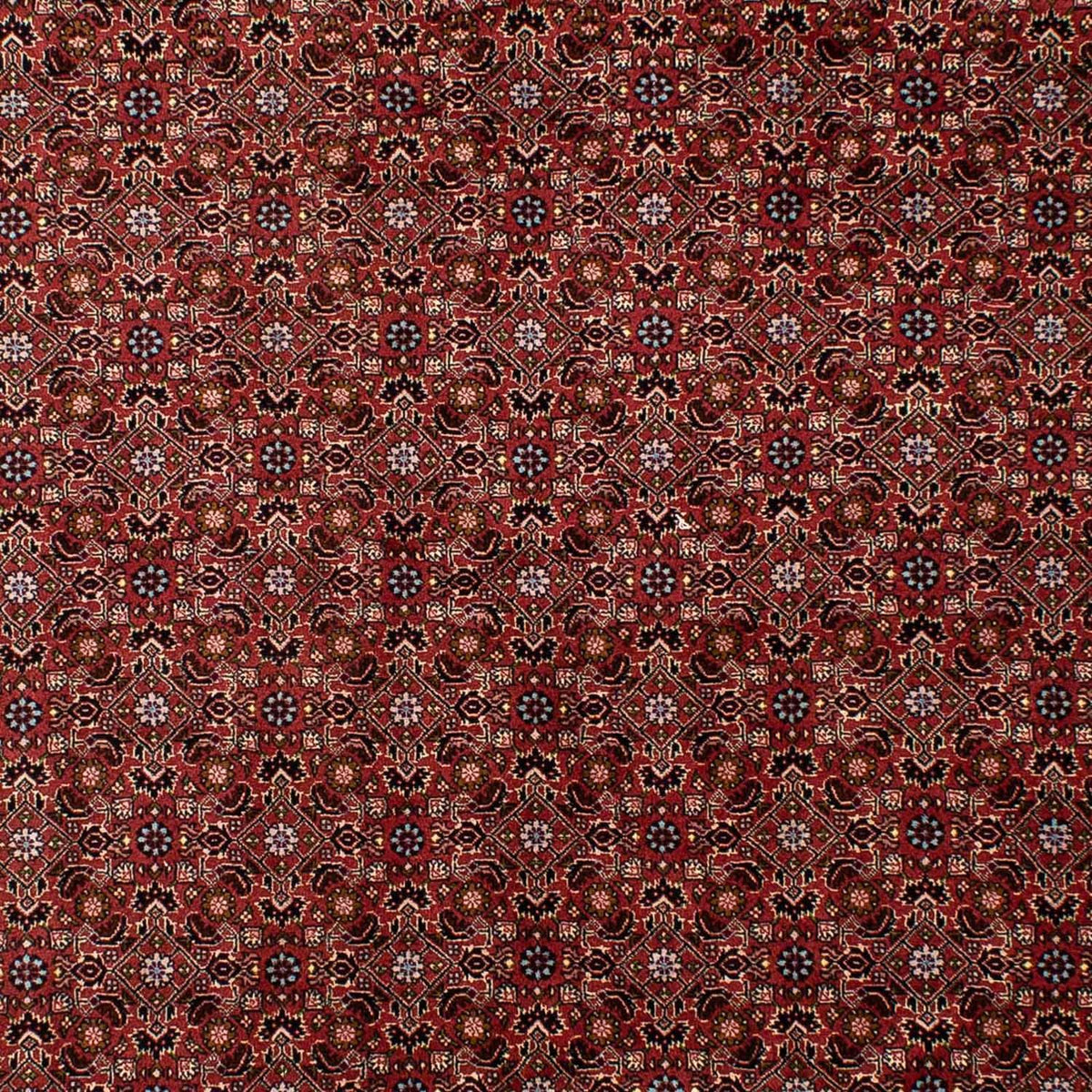 Persisk tæppe - Bijar - 288 x 198 cm - mørkerød