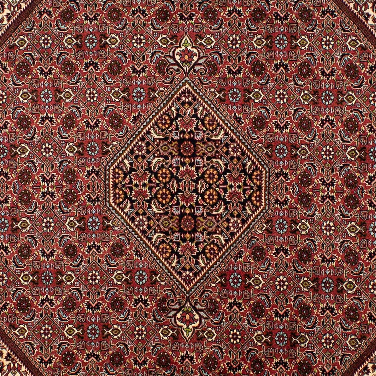 Persisk tæppe - Bijar - 297 x 197 cm - brun